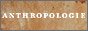 Anthropologie Logo